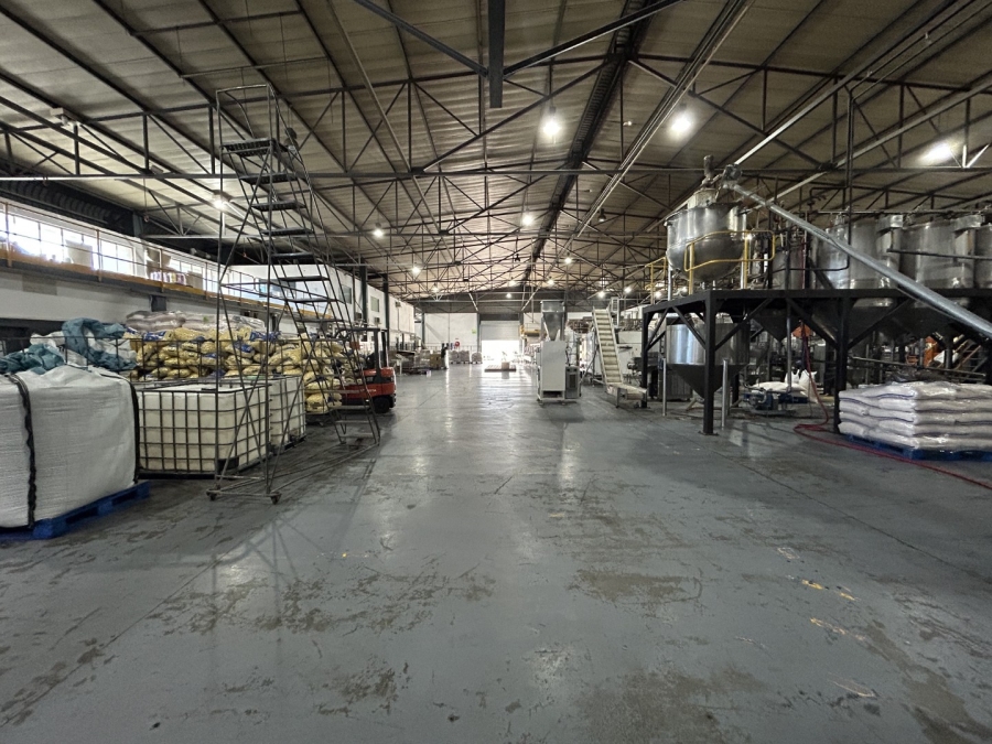 To Let commercial Property for Rent in Epping Industrial Western Cape